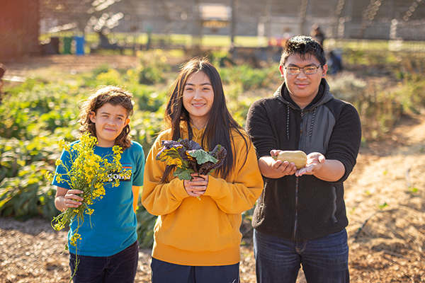 A group of 3 children with plants in their hands