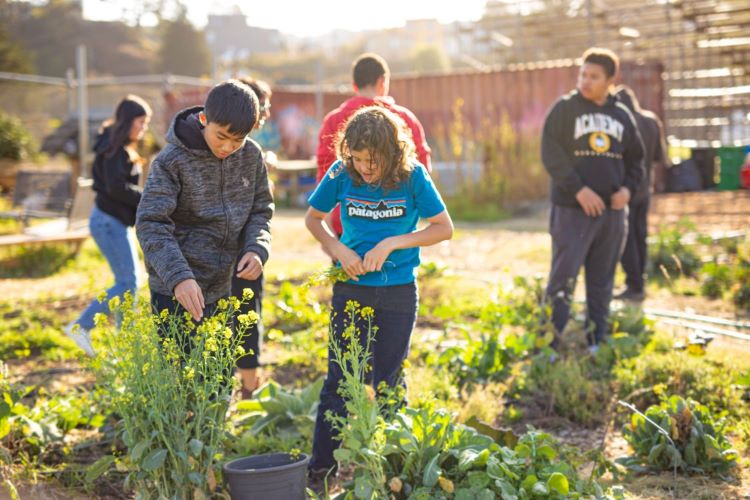 Children working on the garden