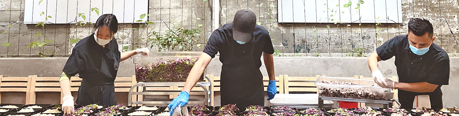 3 workers packaging food